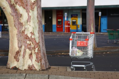 Lonely Shopping Trolley